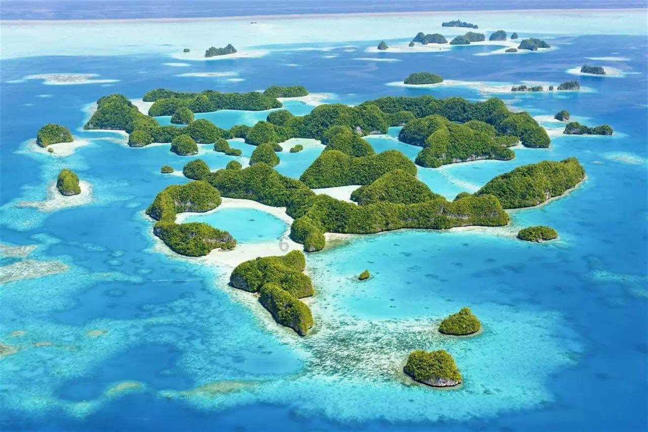 《跳水》课文的作象是什么？